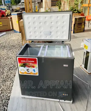 Classic Designed Zara Single Door Electric Freezer 