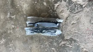 Hyundai Elantra Fender Bumper Locker
