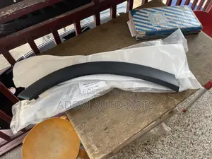 CRV Back Fender Moulding 2020