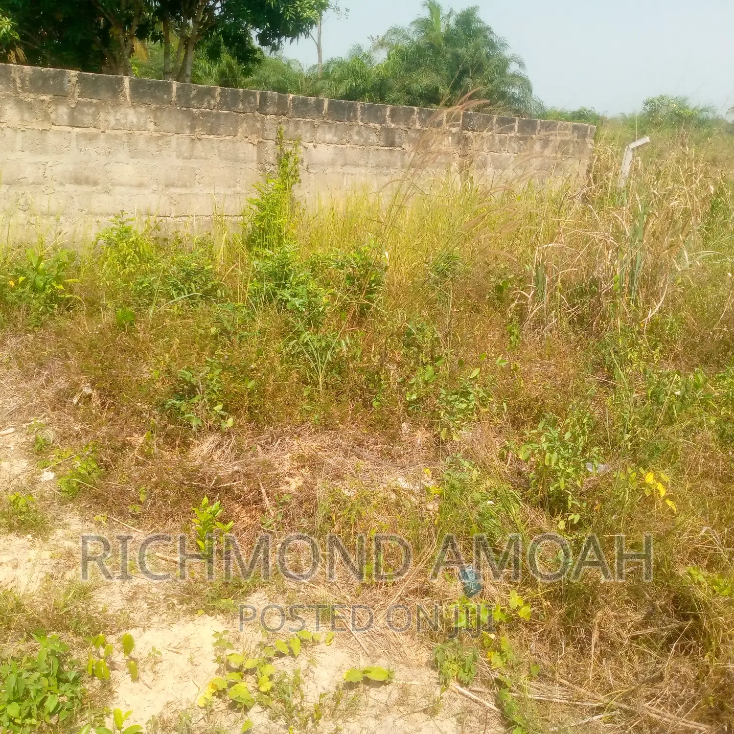 Plot for Sale at West Fijia