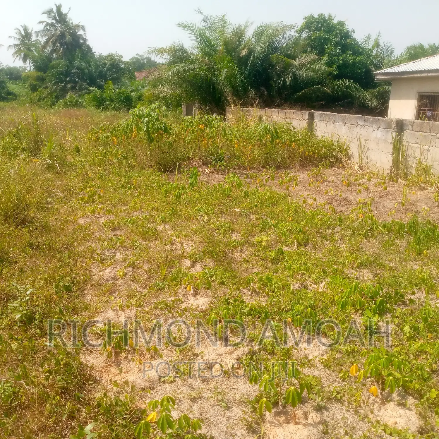 Plot for Sale at West Fijia