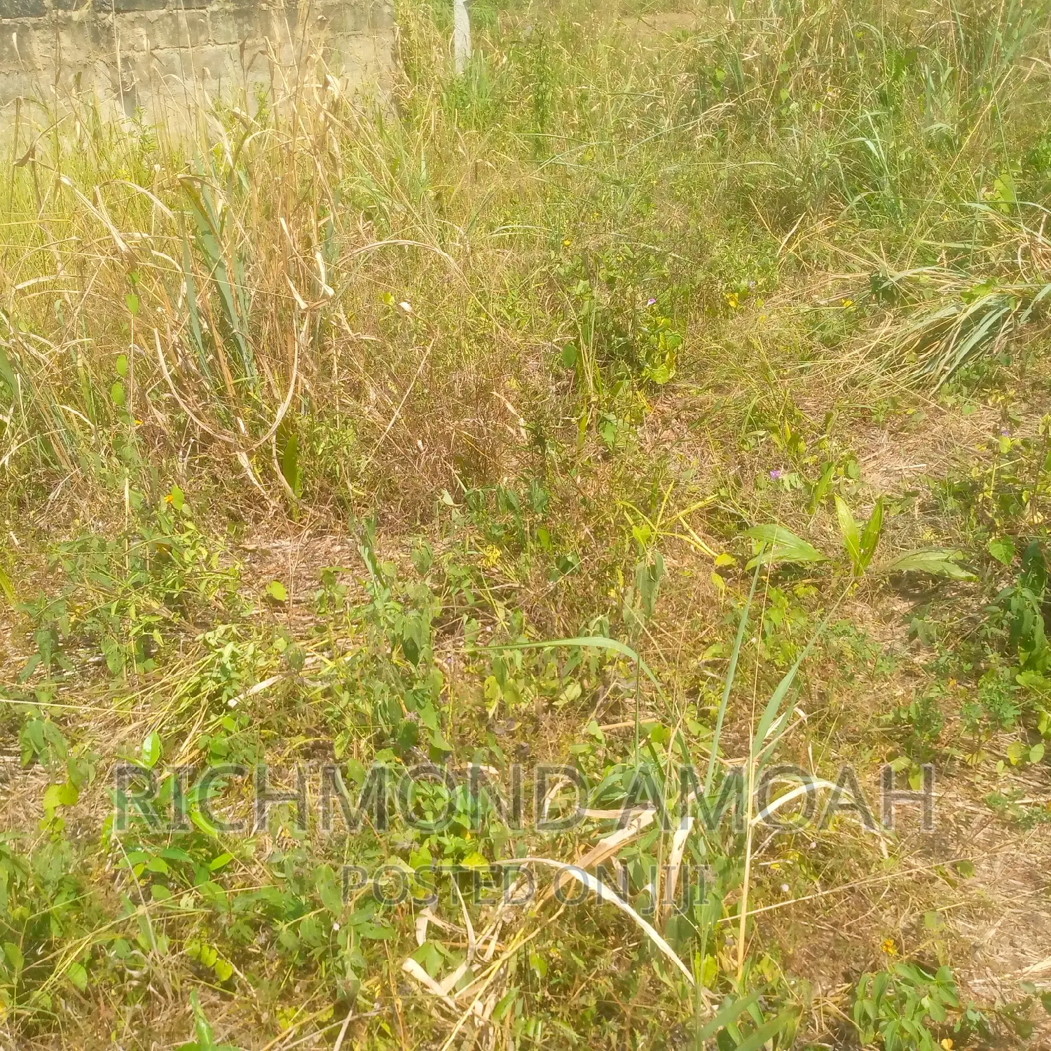 Plot for Sale at West Fijia
