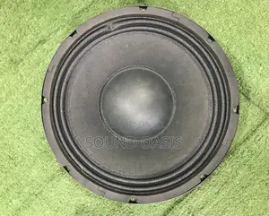 JLD 10inches Pair 8ohms Line Array Naked Speakers (PW10101)