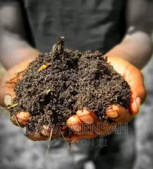 Do You Own a Farm in Gh or Are You Considering to Start One?