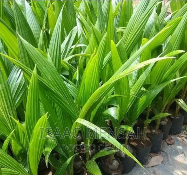Do You Own a Farm in Gh or Are You Considering to Start One?