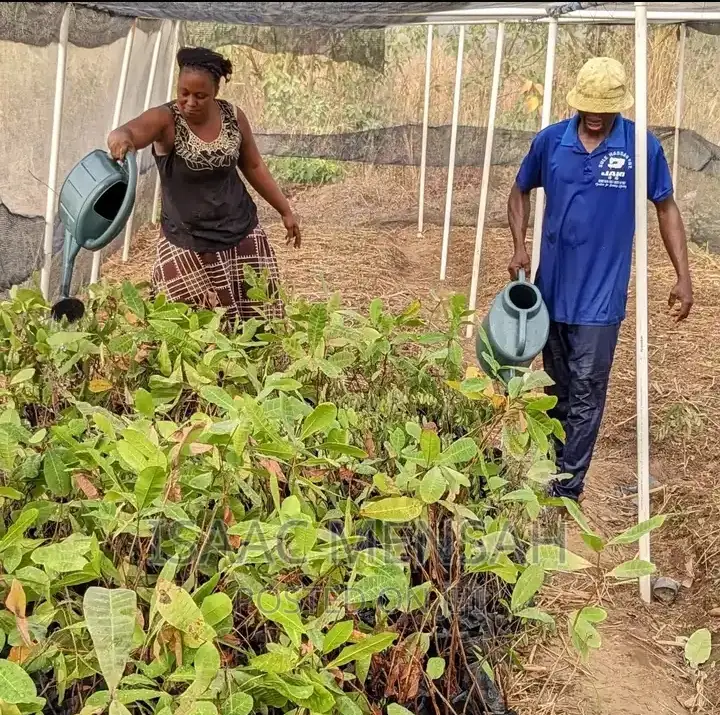 Do You Own a Farm in Gh or Are You Considering to Start One?