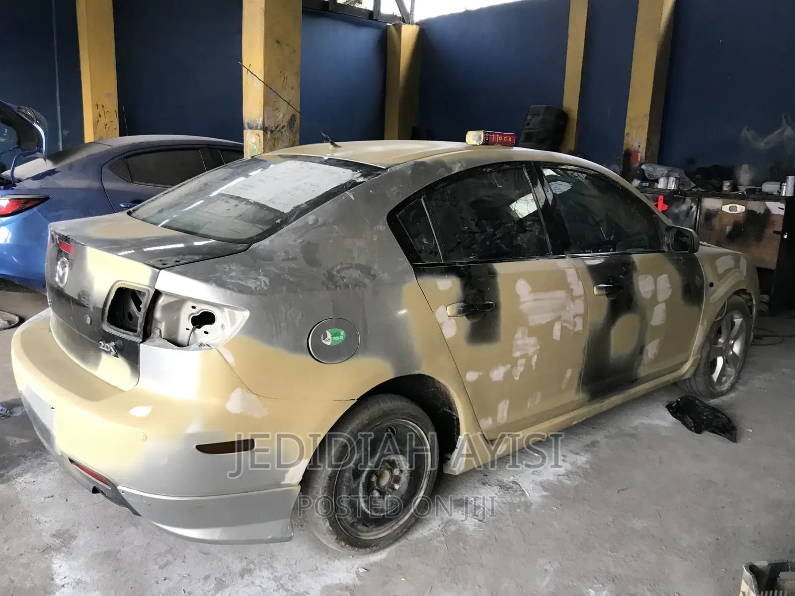 Professional Spraying