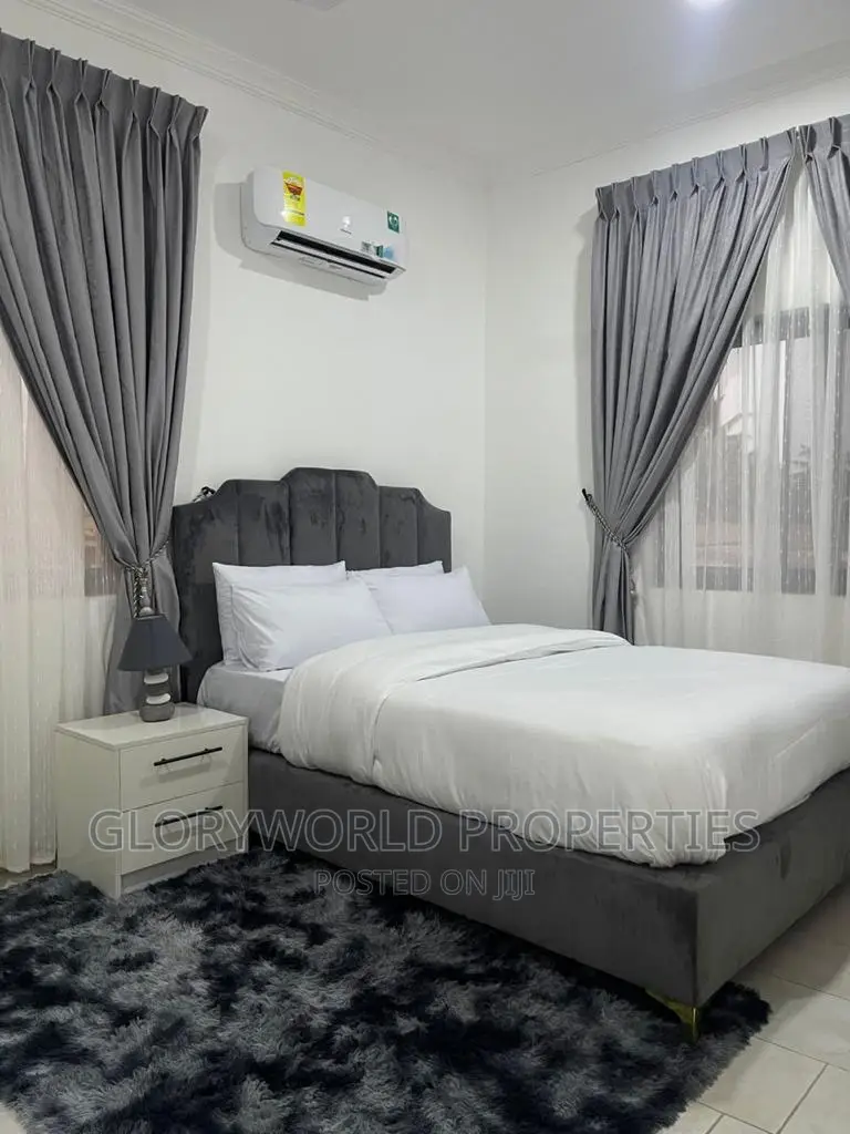 Executive Furnished 2 Bedroom Apartment at Dansoman