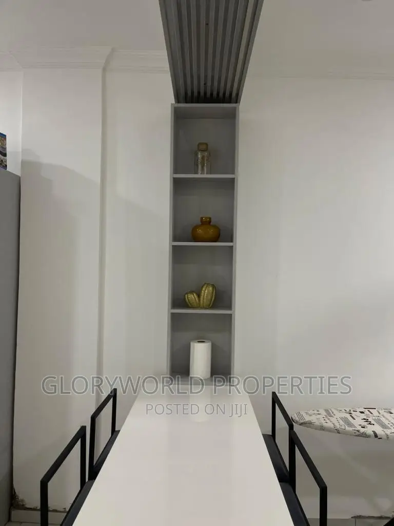 Executive Furnished 2 Bedroom Apartment at Dansoman