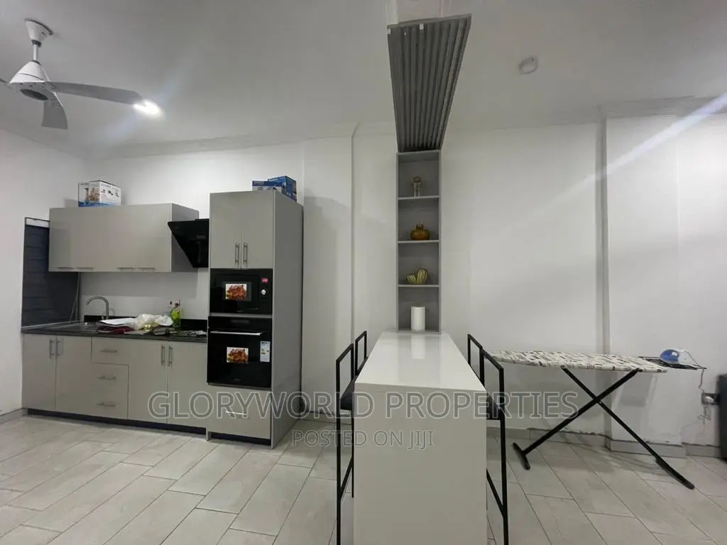 Executive Furnished 2 Bedroom Apartment at Dansoman