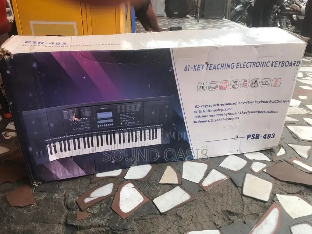Electronic Keyboard PSR-493 61key (With Usb Music Player)