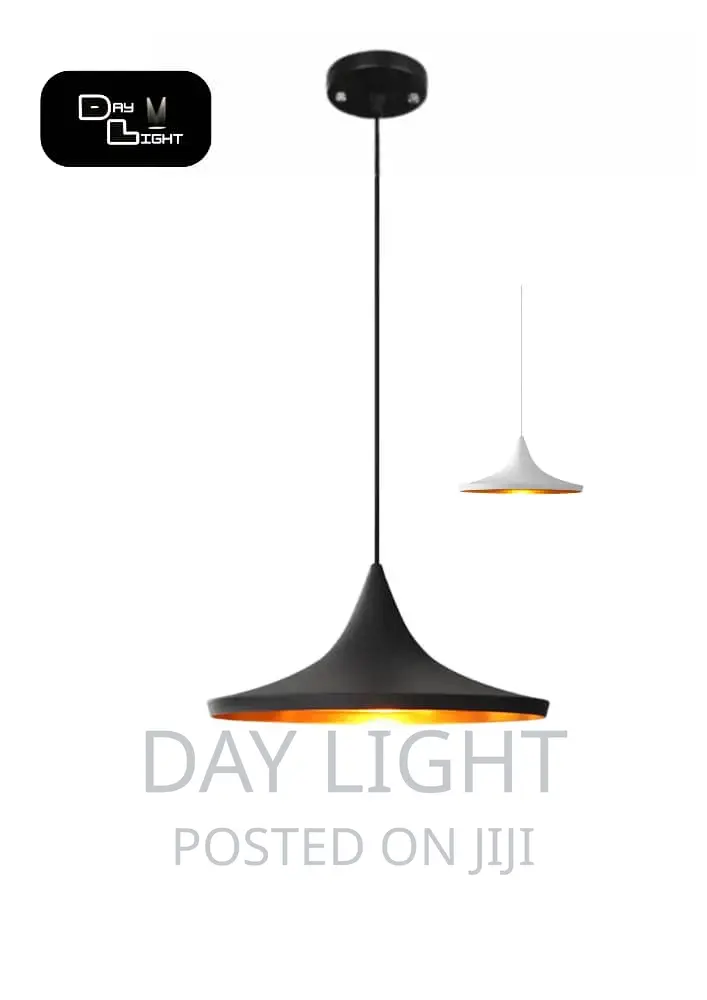 Modern Single Pendant Light.
