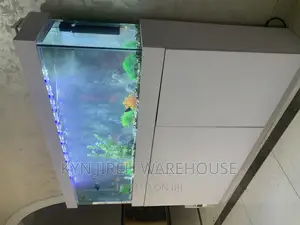 Obibini Aquarium With 15 Fishes