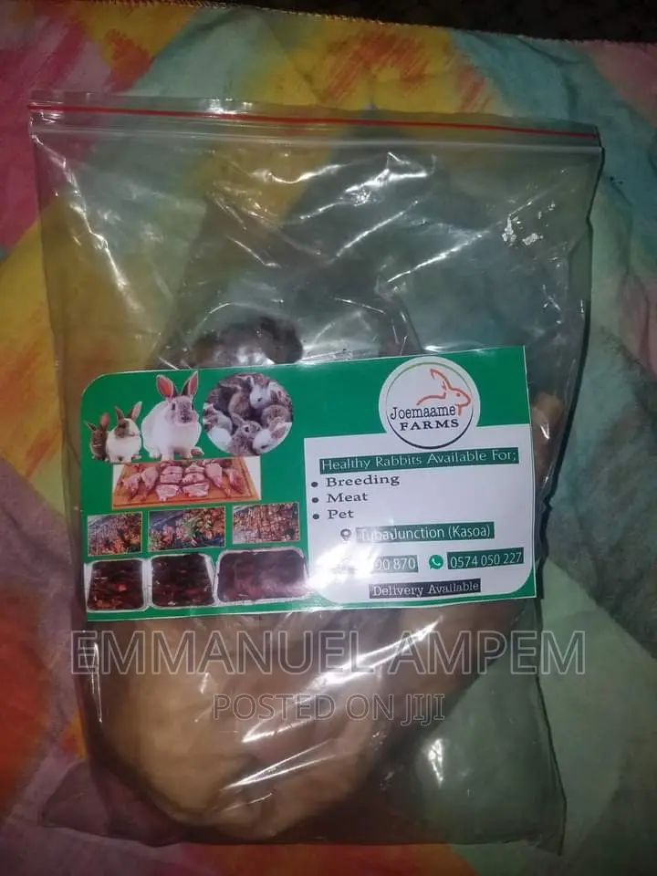 Dressed Rabbit Meat