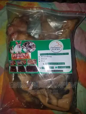 Dressed Rabbit Meat