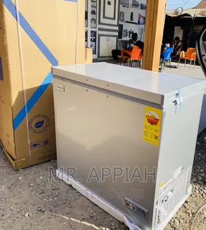 Well Designed Nasco 1 Door Electric Freezer(Nas -250fl)Gray