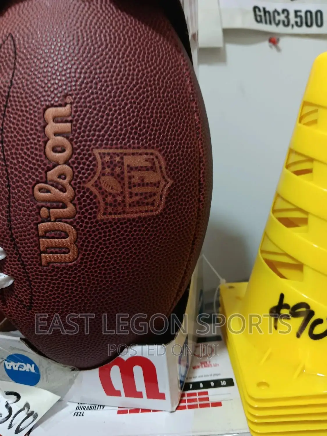 NFL Wilson Football Mini Junior Briwb