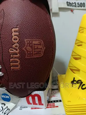 NFL Wilson Football Mini Junior Briwb