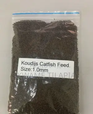 Koudijs Starter Feed for Catfish and Tilapia Fries