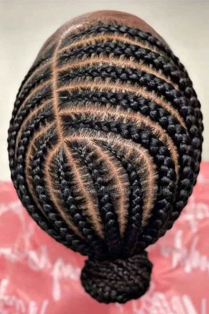 Braids Home Services