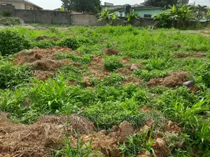 Plot for Sale at Essipon Vivage
