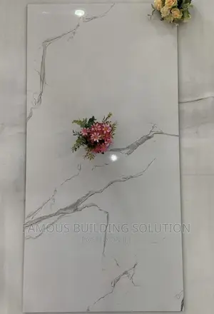 Made in India 60/120 Floor Tiles (Polished)