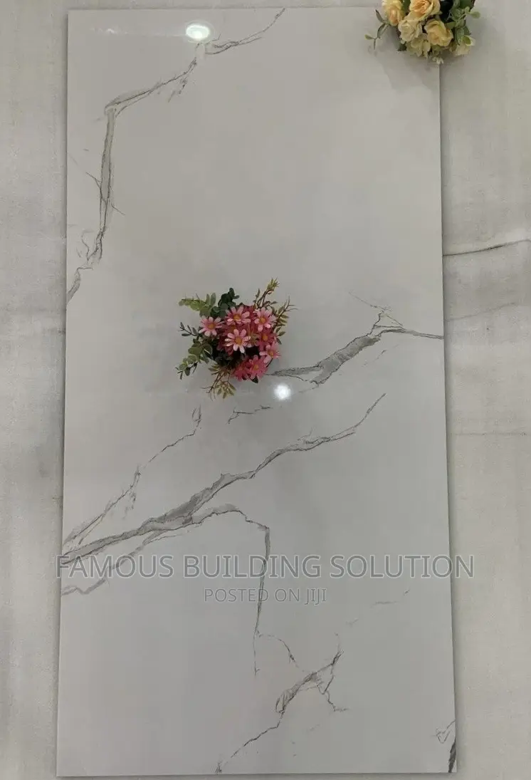 Made in India 60/120 Floor Tiles (Polished)