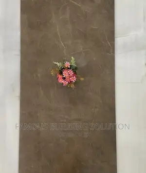Made in India 60/120 Floor Tiles (Polished)