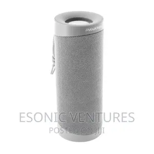 PAVAREAL BS15 Bluetooth Speaker