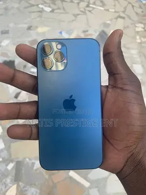 Apple iPhone 12 Pro Max 256 GB Blue