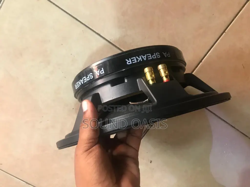 JLD-Pw12203-02 12inches Naked Speaker