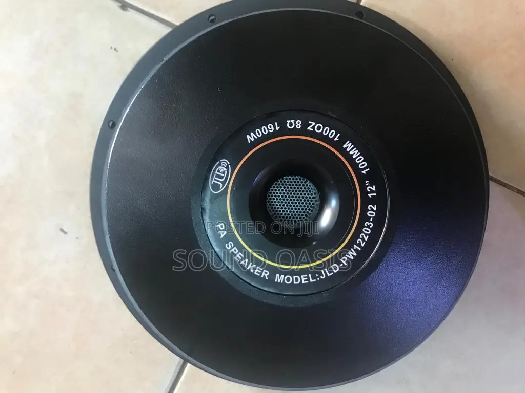 JLD-Pw12203-02 12inches Naked Speaker