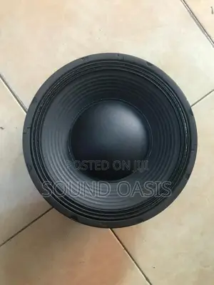 JLD-Pw12203-02 12inches Naked Speaker