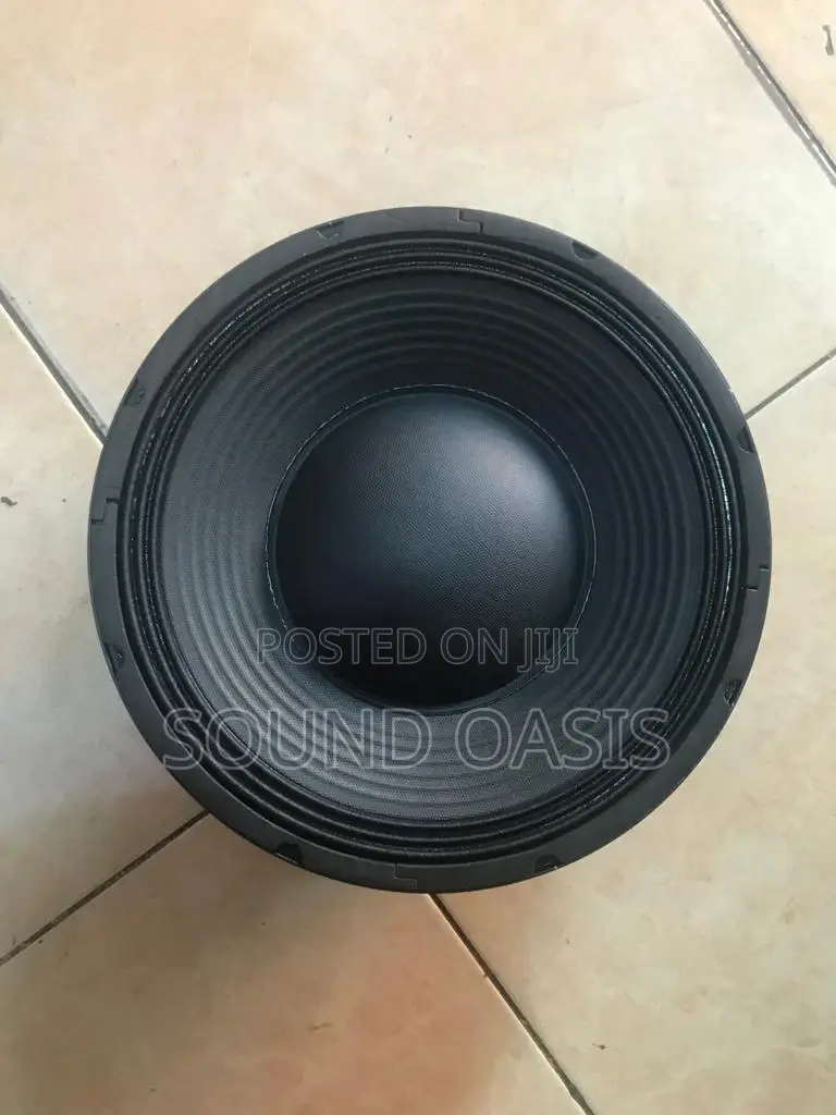 JLD-Pw12203-02 12inches Naked Speaker