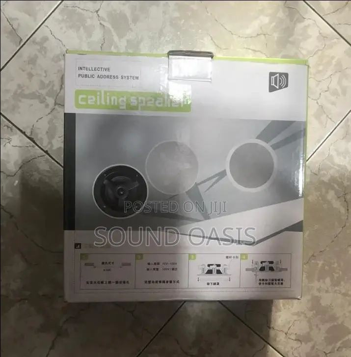 Ceiling Speakers (Intellective Pulic Address System)