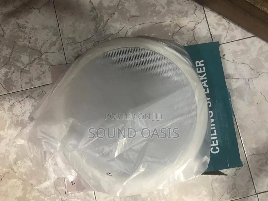 Ceiling Speaker