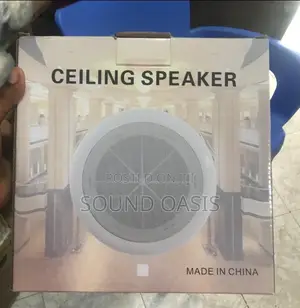 Ceiling Speaker