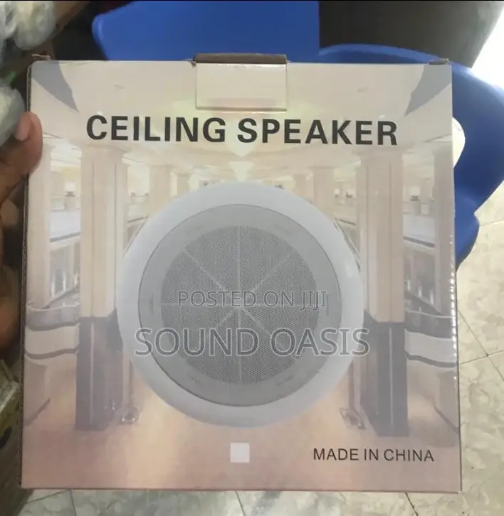 Ceiling Speaker