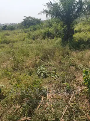 Four Plots of Lands at Brofoyendro Darko