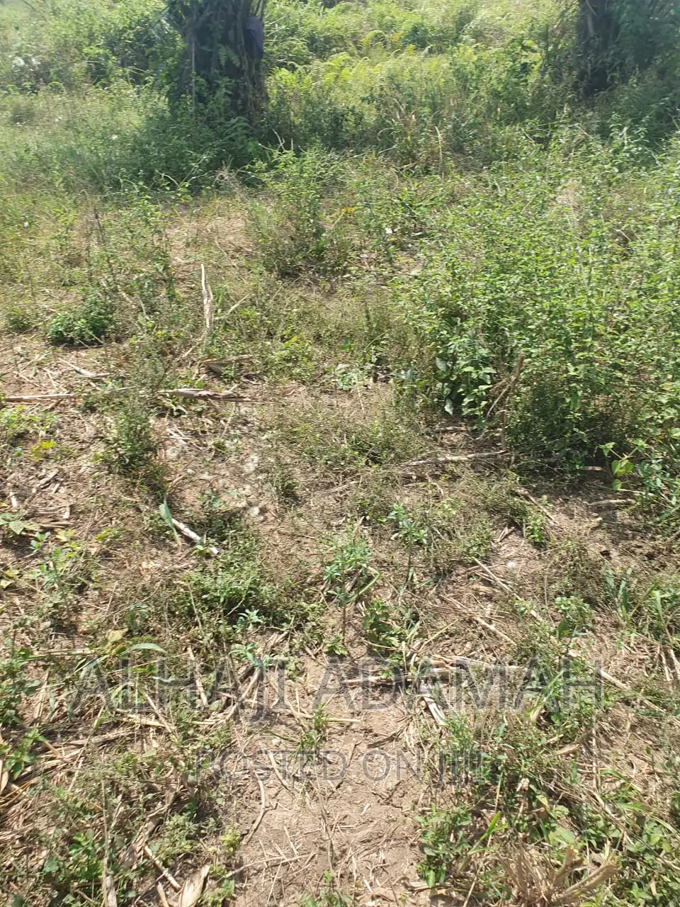 Four Plots of Lands at Brofoyendro Darko
