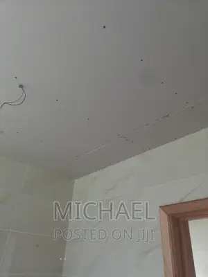 Plaster Board Ceiling