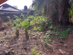 Town Land At Kodie ( Akom School)