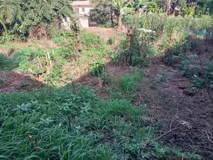 Town Land At Kodie ( Akom School)