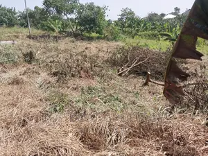 Kumasi Kodie (Akom - Nkwantekesse)
