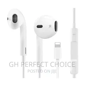 Well Fortified iPhone Earpiece