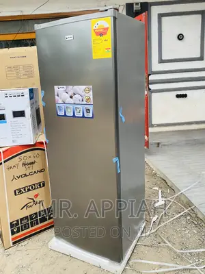 Long Lasting Pearl puf-370 1 Door Electric Freezer(Gray)
