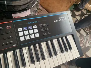 Roland Ds61 Keyboard