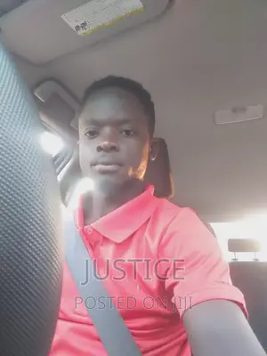 Driver Looking for a Stay in Job