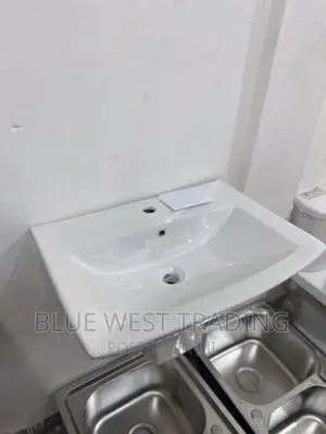 Wall Hung Basin - Master Bedroom Basin