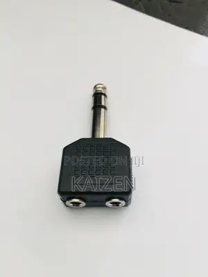 Microphone Converter 2:1